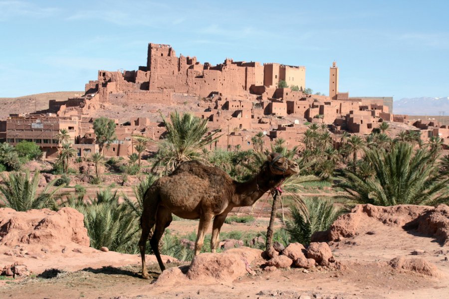 Kasbah Tifoultoute. Stéphan SZEREMETA