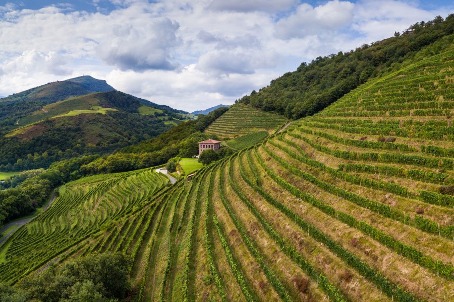 Le vignoble d'Irouleguy. SpiritProd33 - Shutterstock.com
