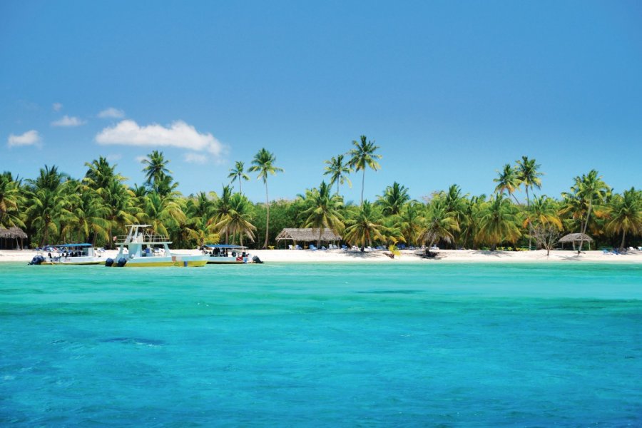 Plage tropicale et cocotiers, Punta Cana. gerisima - iStockphoto