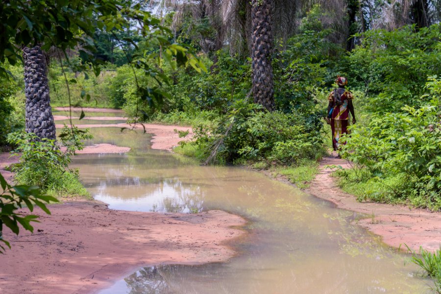 Route inondée près du village d'Ossouye en Casamance. Xavier Llauger Dalmau - Shutterstock.com