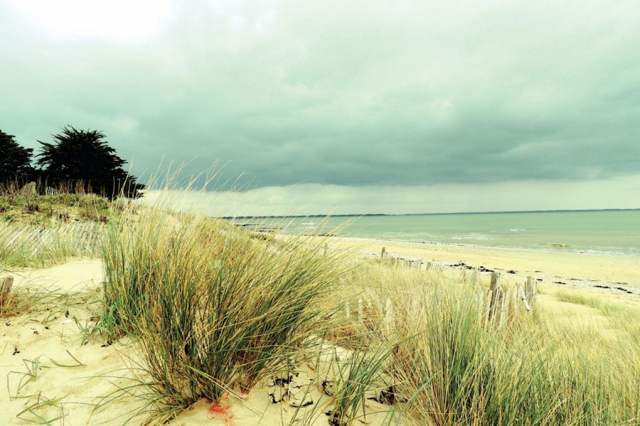 La plage de Damgan. Isabelle LEDOUX