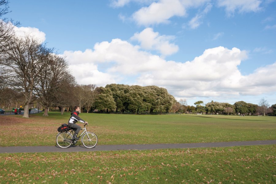 Vélo à Phoenix Park. Aitormmfoto - istockphoto.com