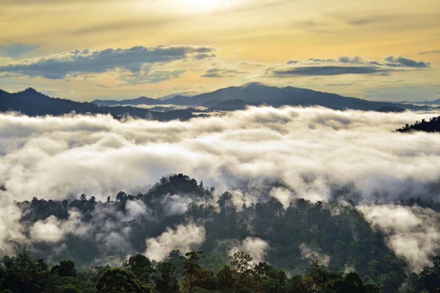 Lever du soleil sur la vallée du Danum. Cn0ra - iStockphoto.com