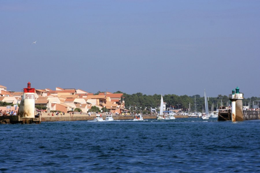 Capbreton PAPILLON - FOTOLIA