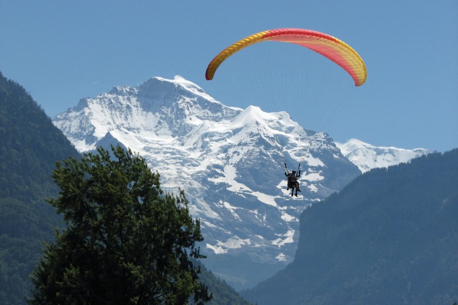 Parachutiste. Dinostock - Fotolia