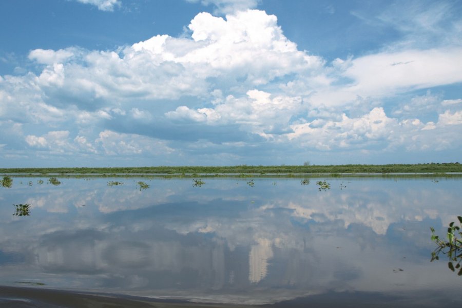 Parc national de Nimule. Marc GOUTALIER