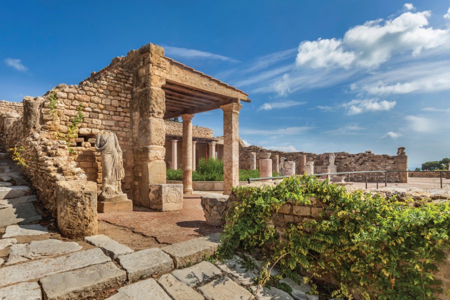 Site romain de Carthage. tingra - iStockphoto.com