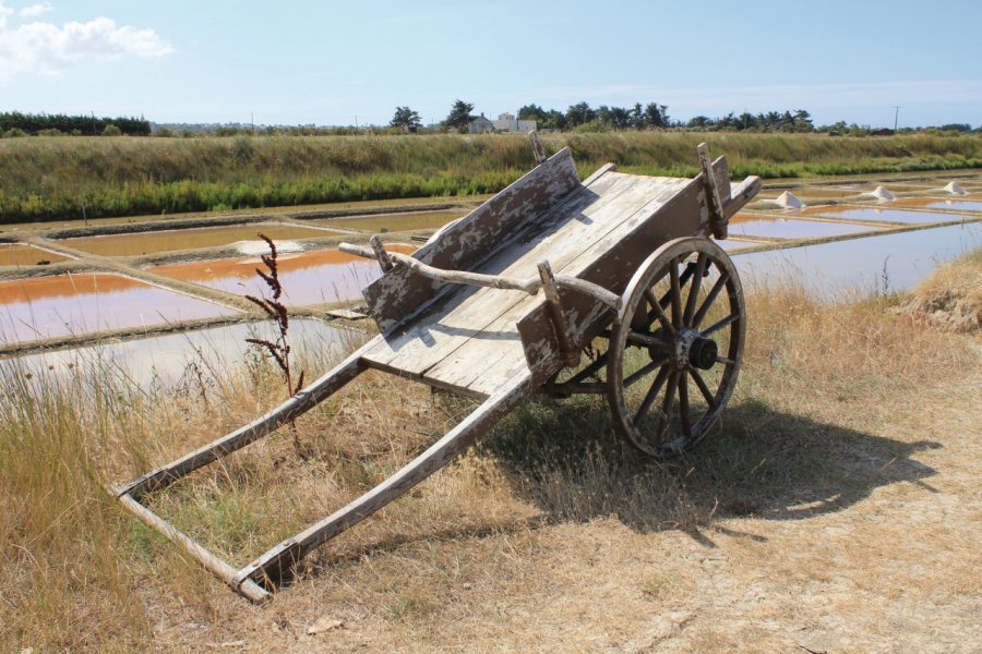 Brouette dans les marais salant de l'Île-d'Olonne Thomas Pajot - Fotolia