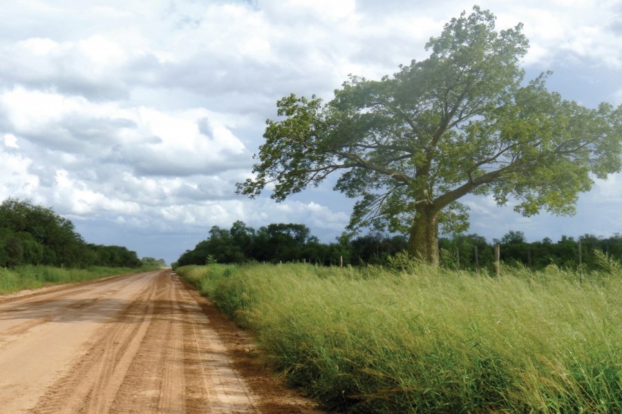 Sur la route de Campo María. Nicolas LHULLIER