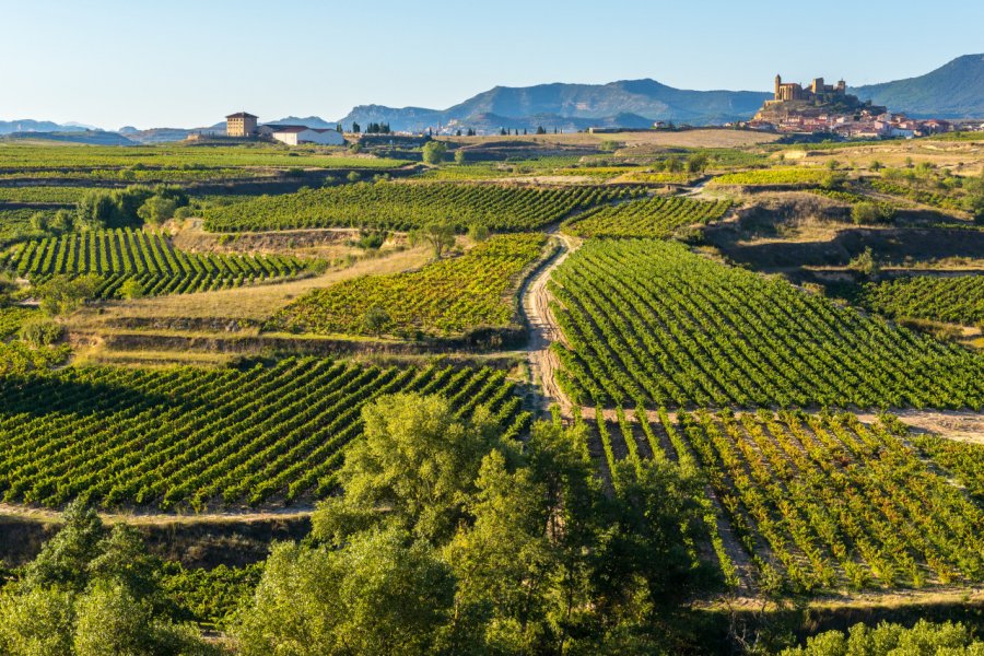 Vignoble Rioja. Alberto Loyo - shutterstock.com