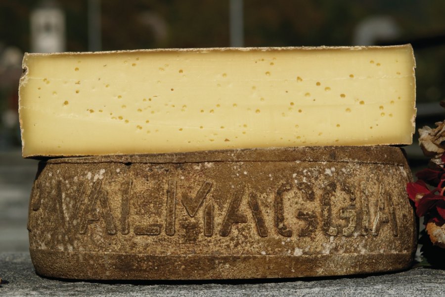 Fromage de la Valle Maggia. Archivio Ticino Turismo