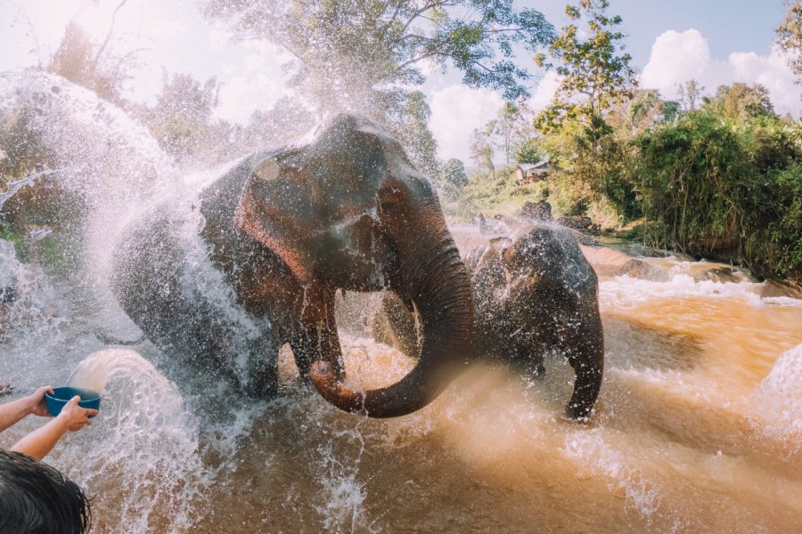 Bain de boue. FilippoBacci - istockphoto.com