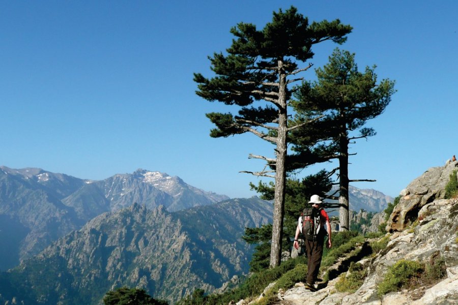 Randonnée en Centre Corse AltiPiani