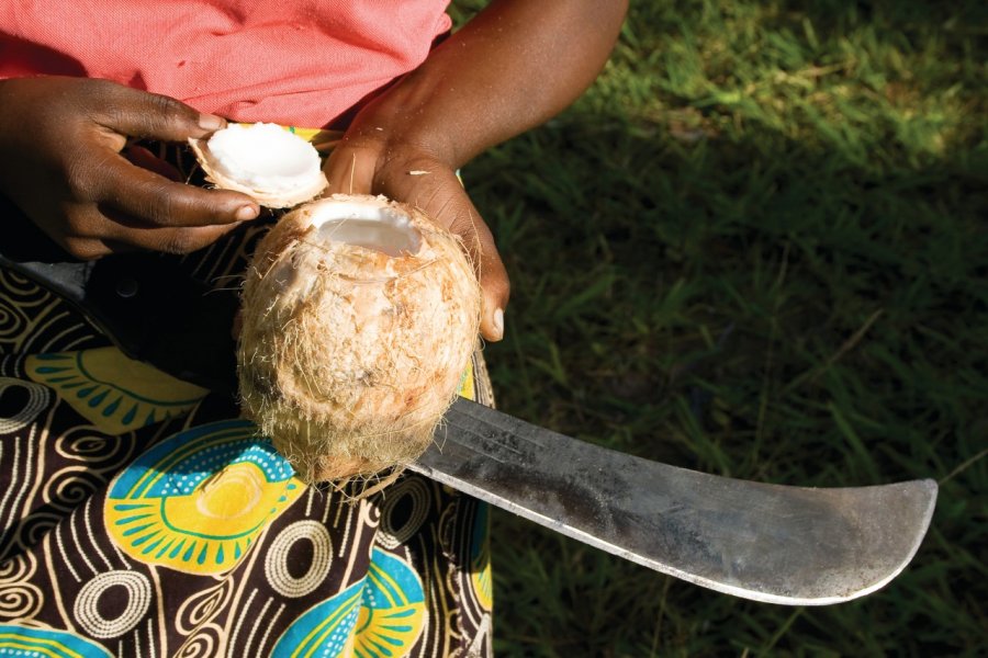 Noix de coco. Alexerich - iStockphoto