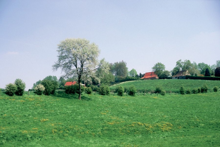 Aux environs de Cassel JERÔME BERQUEZ - AUTHOR'S IMAGE