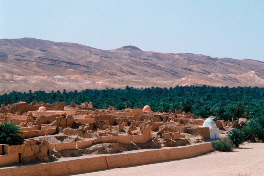 Ancien village de l'oasis de Tamerza. Author's Image