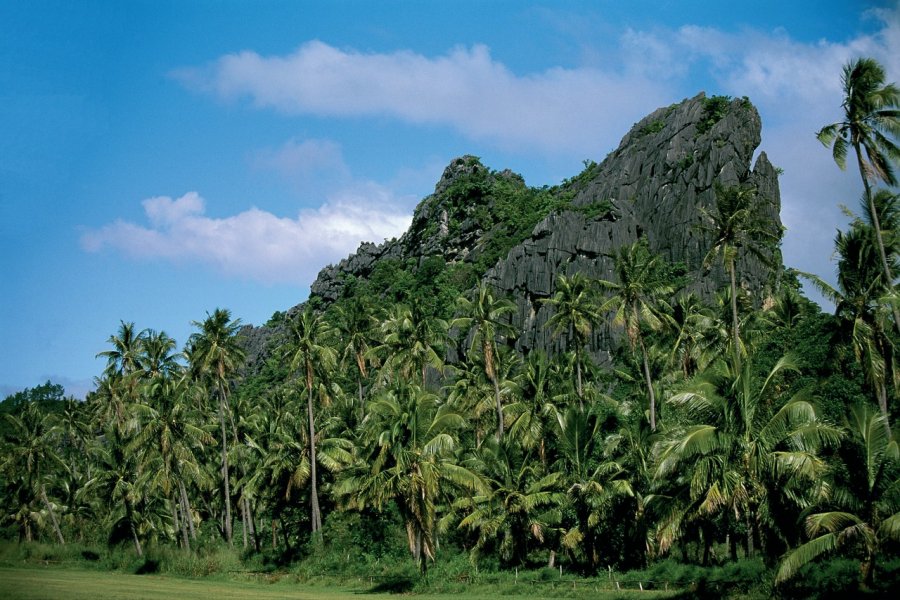 La Nouvelle Calédonie possède des paysages très diversifiés. (© Author's Image))