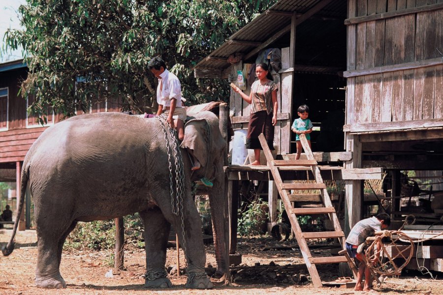 Village de Ban Khiet Ngong. Author's Image