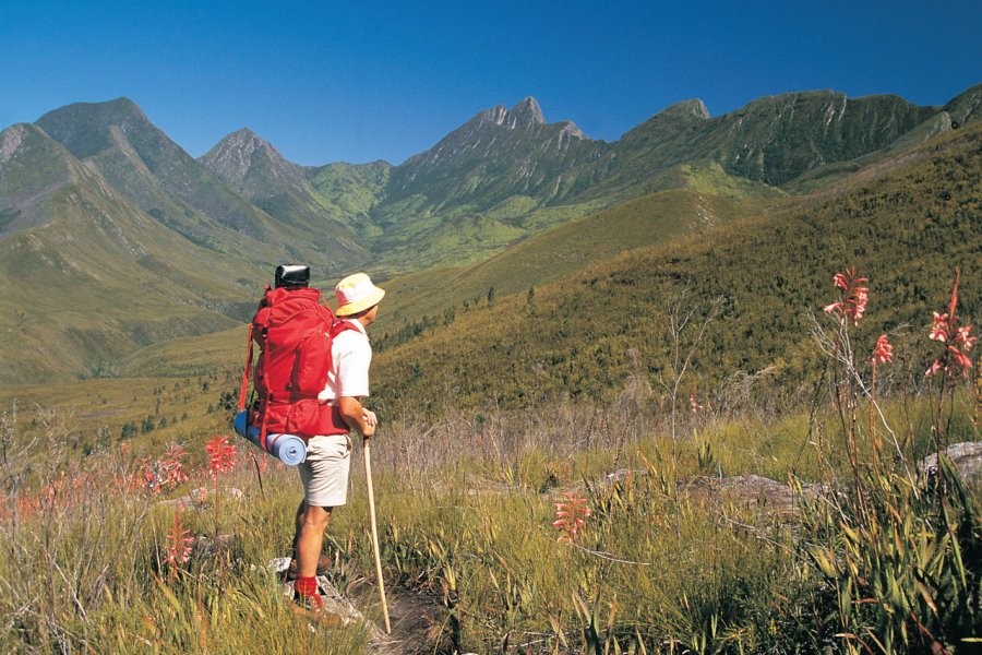 Tsitsikamma National Park South African Tourism