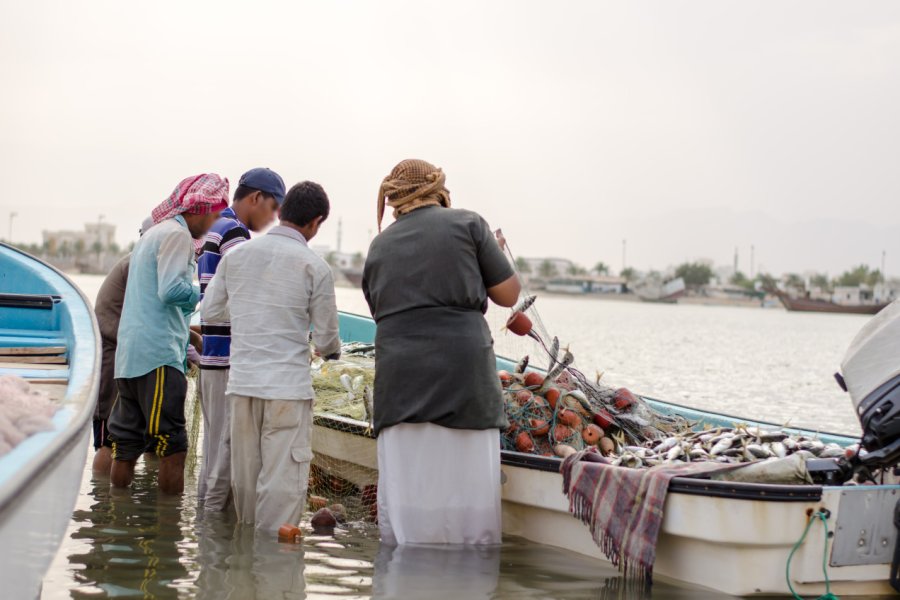 Retour de pêche H1N1 - Shutterstock.com