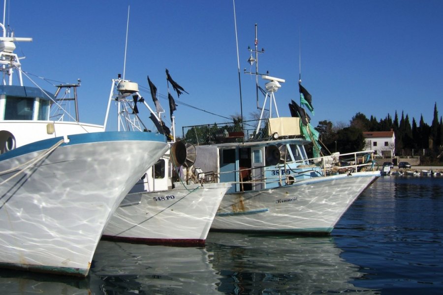 Port de pêche de Pineta. Stéphan SZEREMETA