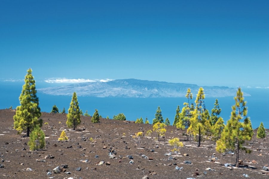 Parque nacional del Teide et vue sur l'île de la Gomera. (© Author's Image))