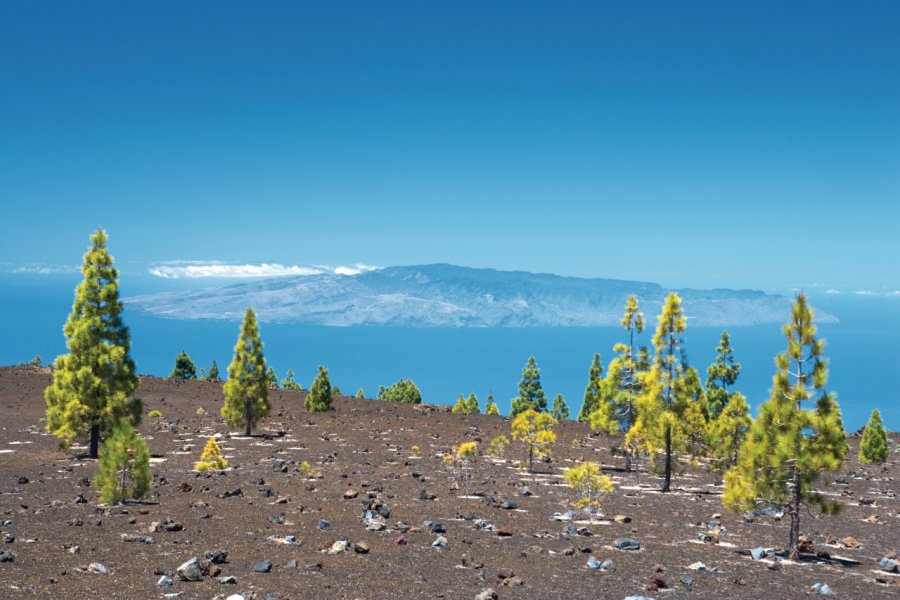 Parque nacional del Teide et vue sur l'île de la Gomera. Author's Image