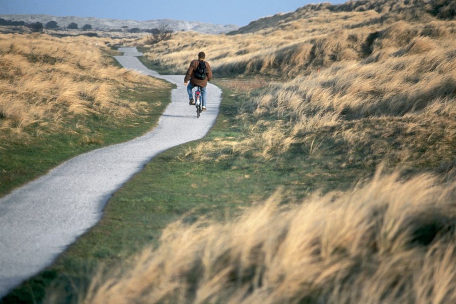 Le littoral de Terschelling est parcouru de dunes sauvages. H.Fougère - Iconotec