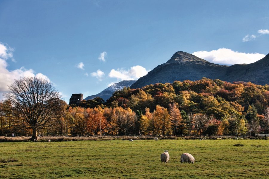 Llanberis sous ses couleurs automnales Gail Johnson - Fotolia