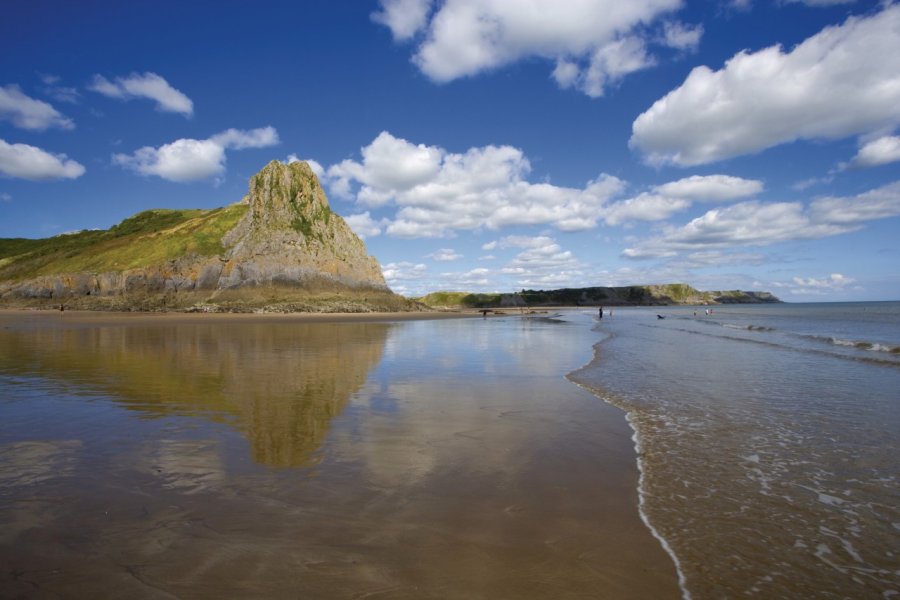 Oxwich Bay Violetstar - Fotolia