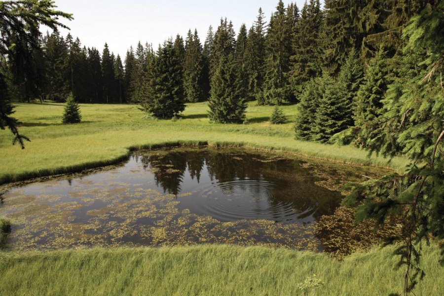 Lac Ticar dans le massif de Golija. National Tourism Organisation of Serbia