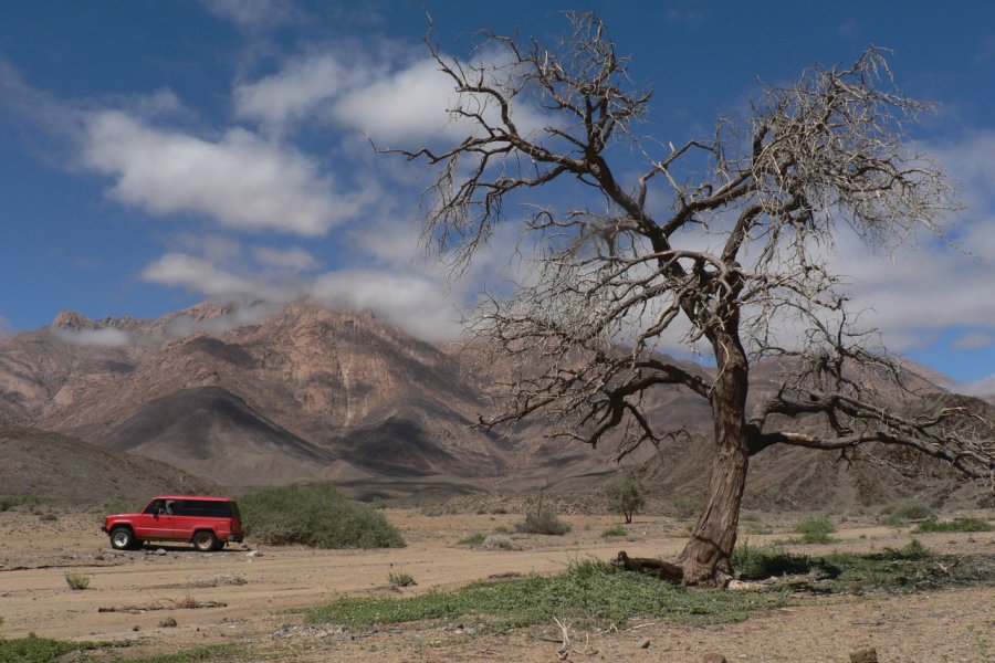 L'imposant massif du Brandberg. Ute von Ludwiger / Namibia Tourism - www.fotoseeker.com