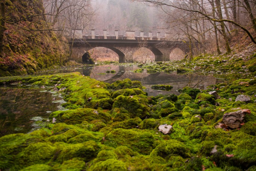 Le lac sauvage d'Idrija. Matic Stojs - Shutterstock.com