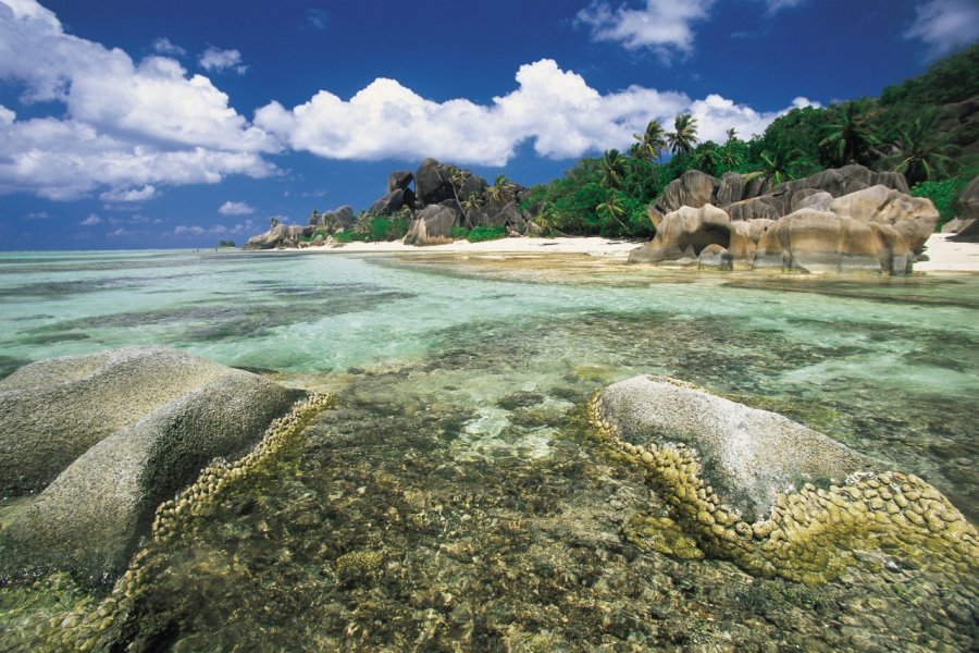 Anse Source d'Argent, entre plage et granit. Tom Pepeira - Iconotec