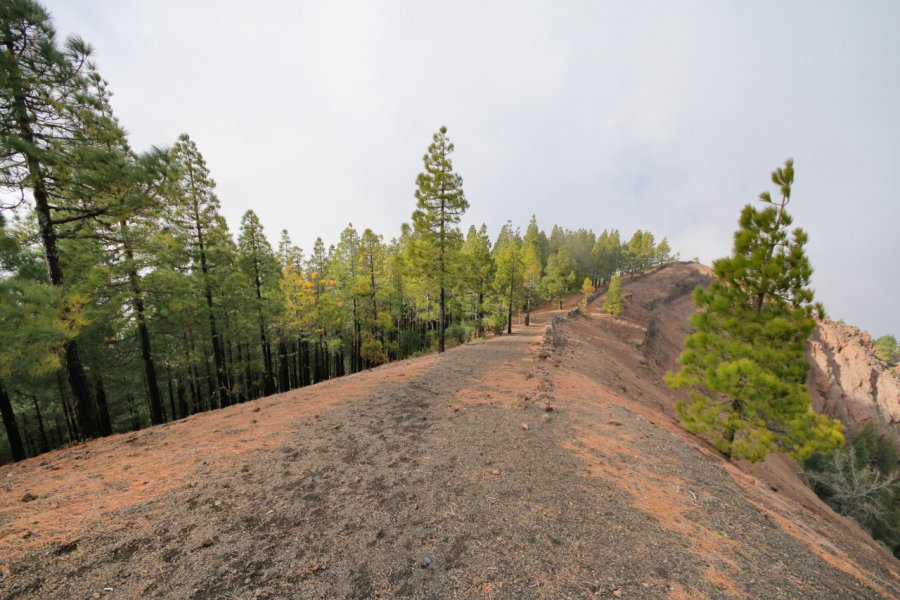 Crête de la Caldera de los Pinos De Gáldar Mateusz Sciborski - Shutterstock.com