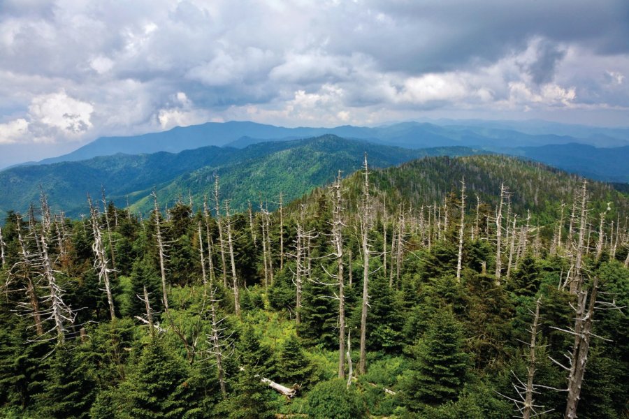 Vue du sommet du Clingman's Dome. iStockphoto.com/RIRFstock