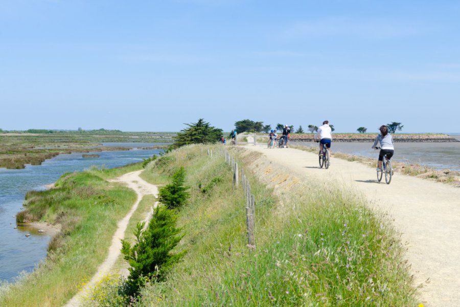 Balade à vélo sur l'île de Noirmoutier. lil_22 - stock.adobe.com