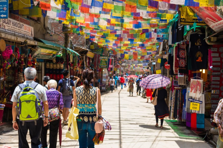 Quartier de Thamel. Constantin Stanciu - Shutterstock.com