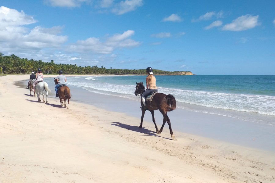 Balade à cheval sur la plage de Macabou. Su Nitram - Shutterstock.com