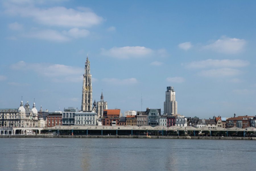 Vue de l'Escaut et de la cathédrale Notre-Dame-d'Anvers. Author's Image