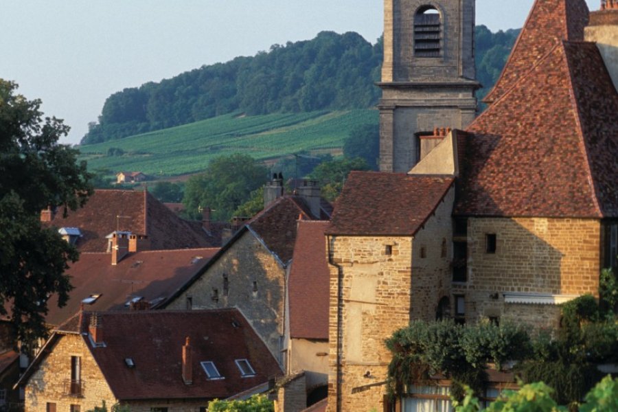 L'église collégiale Notre-Dame d'Arbois (© PIERRE DELAGUÉRARD - ICONOTEC))