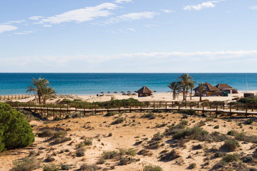 Plage vers Elche. Olaf Speier - Shutterstock.com