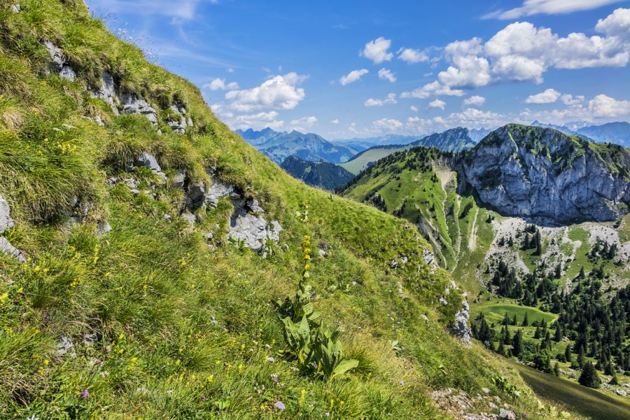 Dent de Jaman. Kiev.Victor - Shutterstock.com