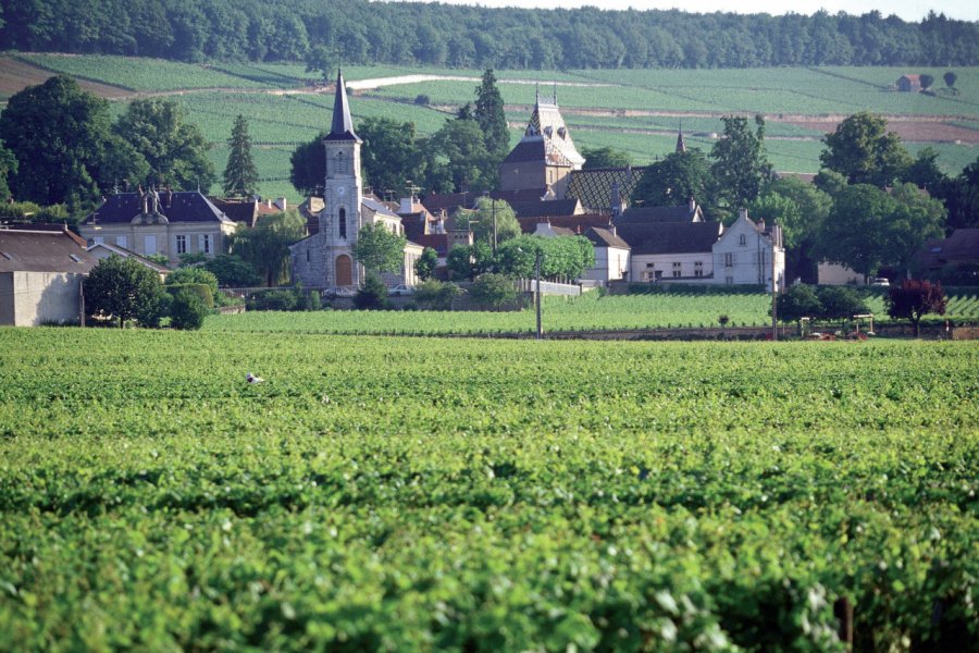 Vue générale d'Aloxe-Corton PHOVOIR