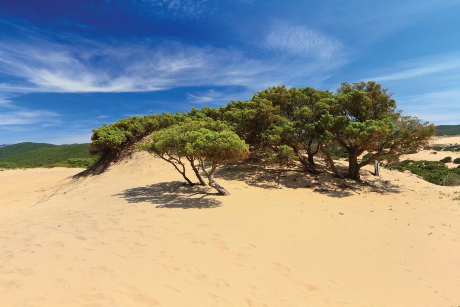 Dune de Piscinas sur la Costa Verde. Antonioscarpi - iStockphoto
