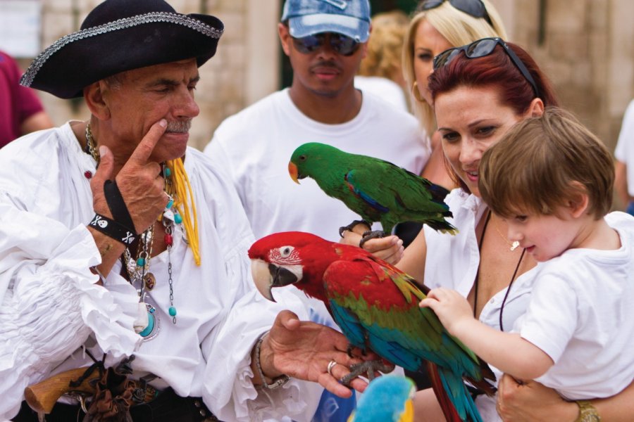 Un pirate éleveur de perroquet. (© Lawrence BANAHAN - Author's Image))