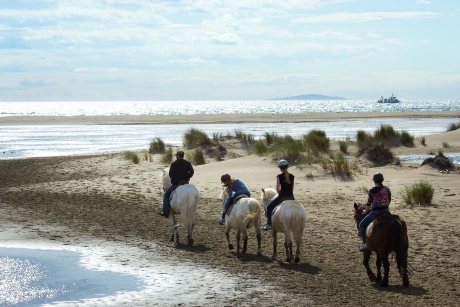 Balade à cheval sur la plage de l'Espiguette. Olivier Tabary - stock.adobe.com