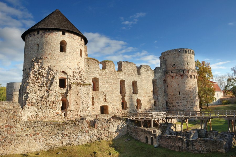 Le vieux château de Cēsis. Nikonaft