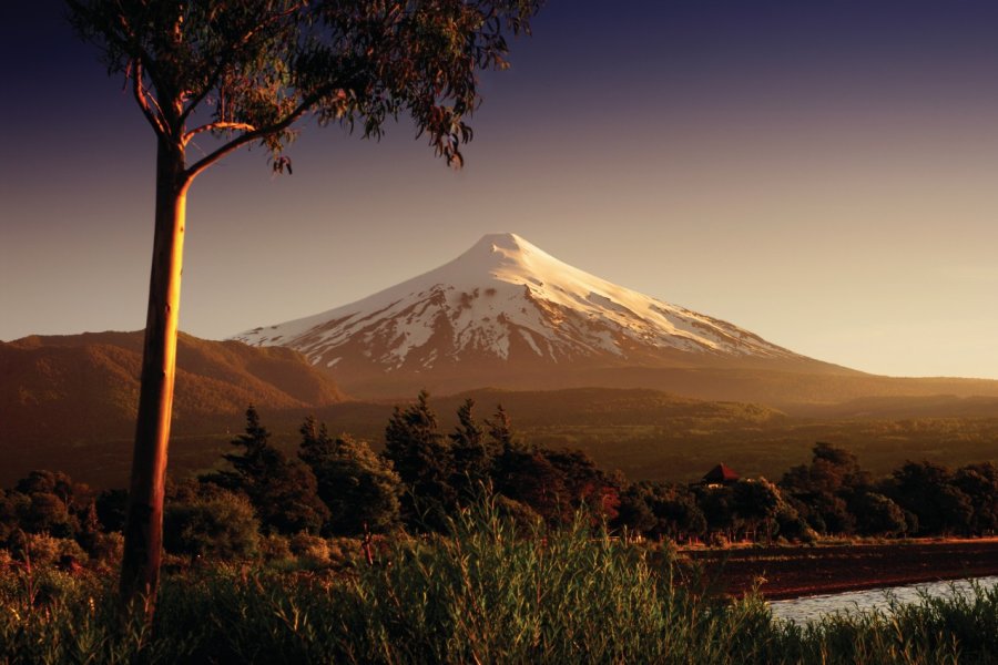 Parque Nacional Villarica. .