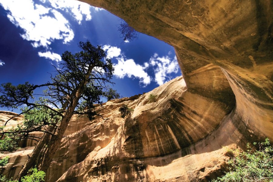 Rock window, dans le Red Rock State Park, près de Gallup. DavorLovincic - iStockphoto